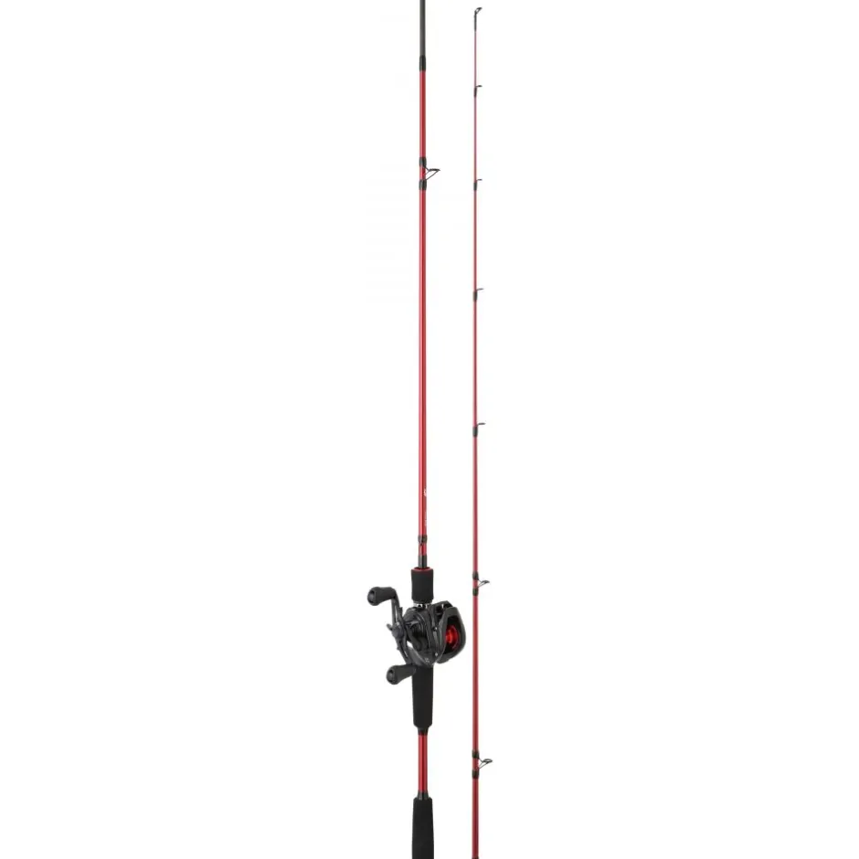 DAIWA CANNE CASTING + MOULINET PR