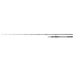 FOX RAGE CANNE CASTING PRISM X BIG BAIT 2M40 230G