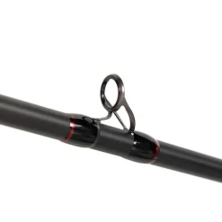 FOX RAGE CANNE CASTING PRISM X BIG BAIT 2M40 230G