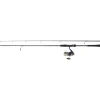 DAIWA CANNE CT SEABASS + MOULINET TSUKI