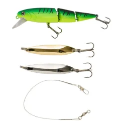 MITCHELL CANNE RTF PIKE 2M10 + TARGET II