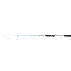 DAIWA CANNE SPINNING CALDIA SEABASS 2M13 14-42G