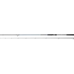 DAIWA CANNE SPINNING CALDIA SEABASS 2M44 14-42G