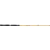 ILLEX CANNE SPINNING ELEMENT RIDER X5 S 215 H THUNDER BOLT