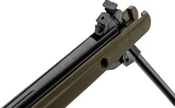 GAMO CARABINE BIGCAT GREEN 4.5 19,9J+ 4X32