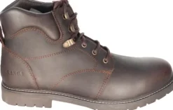 Homme CHESTER CHAUSSURE TERRA MARRON