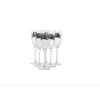 COFFRET 6 FLUTES CHAMPAGNE SANGLIER