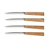 OPINEL COFFRET 4COUTEAUX TABLE BON APPETIT