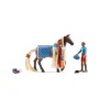 Enfant SCHLEICH COFFRET FIGURINE STARTER SET LEO & ROCKY SOFIAS' BEAUTIES