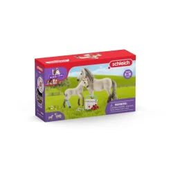 Enfant SCHLEICH COFFRET FIGURINES KIT DE SECOURS D'HORSE CLUB HANNAH