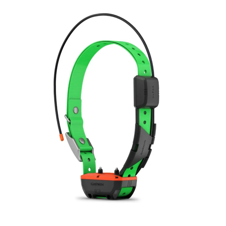 GARMIN COLLIER REPERAGE ET DRESSAGE TT25 F