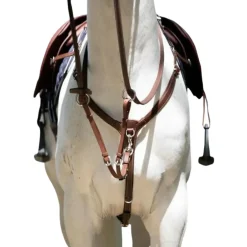 ANTARES COLLIER DE CHASSE A PONT HAVANE