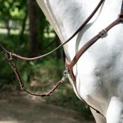 ANTARES COLLIER DE CHASSE A PONT HAVANE