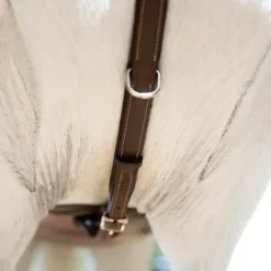 ANTARES COLLIER DE CHASSE A PONT HAVANE