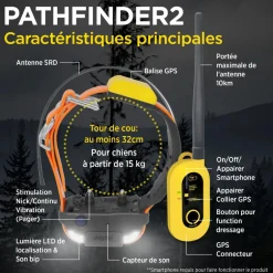 DOGTRA COLLIER GPS PATHFINDER II
