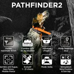 DOGTRA COLLIER GPS PATHFINDER II