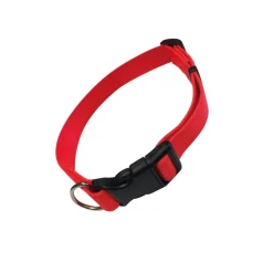 HB DOG COLLIER NYLON ORANGE