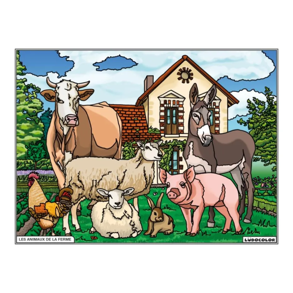Enfant LUDOCOLOR COLORIAGE ANIMAUX DE LA FERME