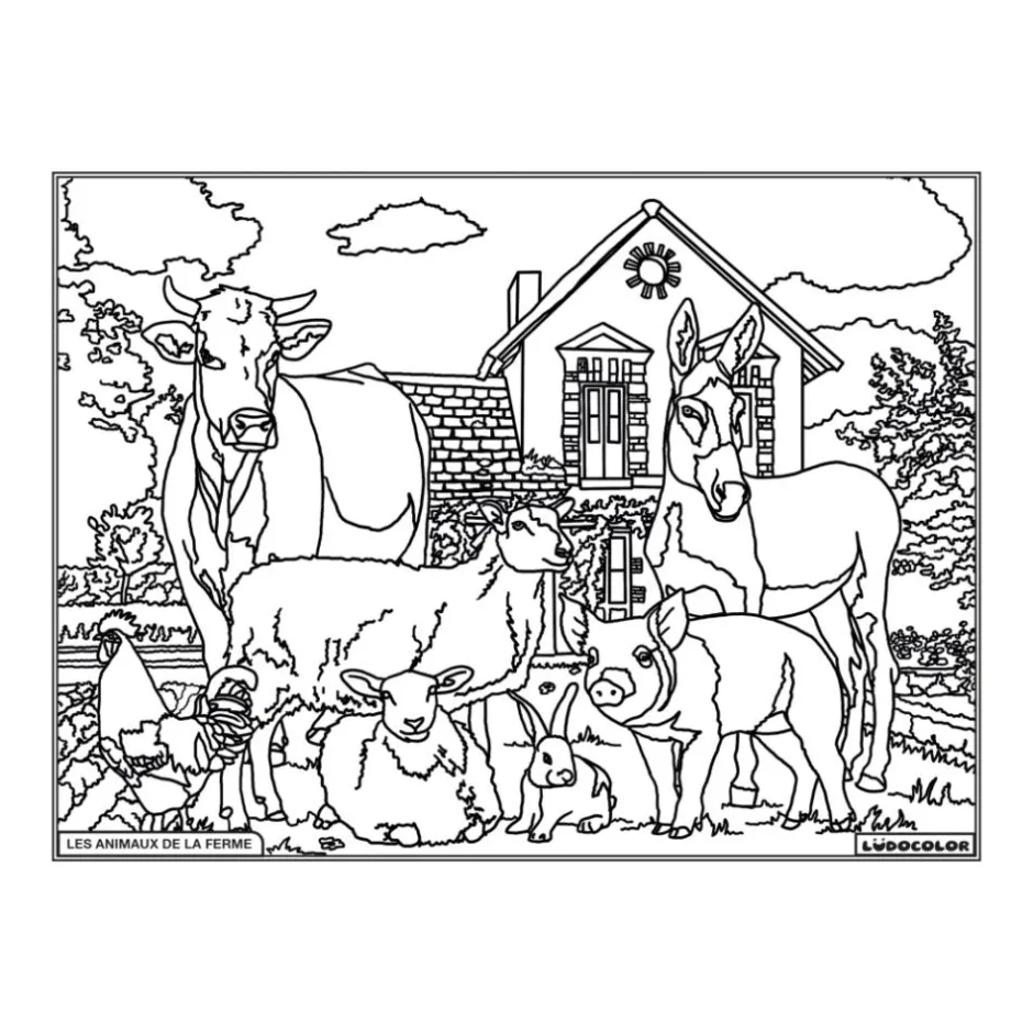 Enfant LUDOCOLOR COLORIAGE ANIMAUX DE LA FERME