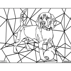 Enfant LUDOCOLOR COLORIAGE BEAGLE