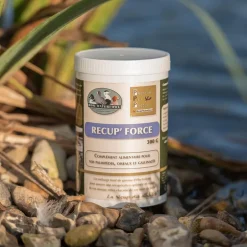 ROMWATERFOWL COMPLÉMENT RECUP'FORCE 300G