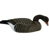 TERZEO CHASSEURS COQUILLE OIE CENDREE HD MANGEUSE