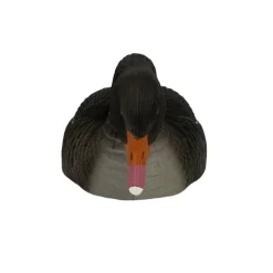 TERZEO CHASSEURS COQUILLE OIE CENDREE HD MANGEUSE