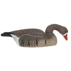 TERZEO CHASSEURS COQUILLE OIE RIEUSE HD GAGNAGE