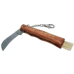 CAO COUTEAU CHAMPIGNONS ' INOX