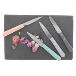 PRADEL EXCELLENCE COUTEAUX OFFICE MANCHES COULEUR X4