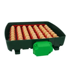 RIVER SYSTEM COUVEUSE 49 OEUFS AUTO