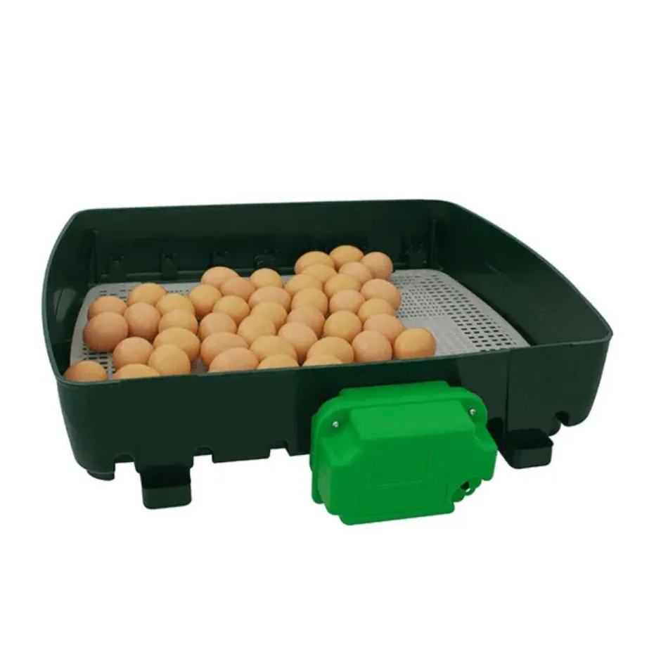 RIVER SYSTEM COUVEUSE 49 OEUFS AUTO