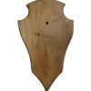 TERZEO CHASSEURS ECUSSON BOUT POINTU 22X13 CLAIR