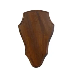 TERZEO CHASSEURS ECUSSON BOUT ROND 23X14 MOYEN