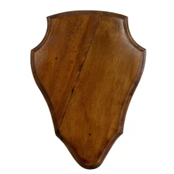 TERZEO CHASSEURS ECUSSON BOUT ROND 26X20 MOYEN