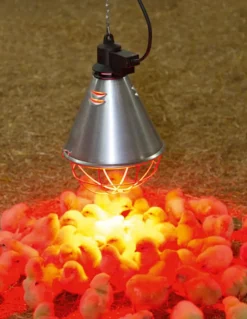 KERBL ELEVEUSE ELECTRIQUE