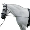 HARRY'S HORSE ENRENEMENT EDUCATIF CHEVAL