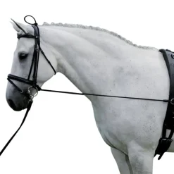 HARRY'S HORSE ENRENEMENT EDUCATIF CHEVAL