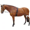 HARRY'S HORSE ENRENEMENT TYPE PESSOA CHEVAL