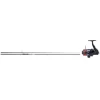 DAIWA ENSEMBLE CARPE 12 PIEDS 3LBS + MOULINET