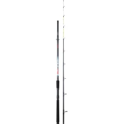 SUNSET ENSEMBLE MER A SOUTENIR GIRELLE 2M10 + MOULINET SUNHOPPER 401FD