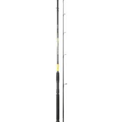 SRT ENSEMBLE SPINNING EMBOITEMENT FISH INSTINCT FW20 SPINCAST + MOULINET MEKA EFI RD