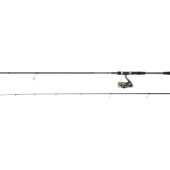 DAIWA ENSEMBLE SPINNING LAGUNA 2,70M 14/42G