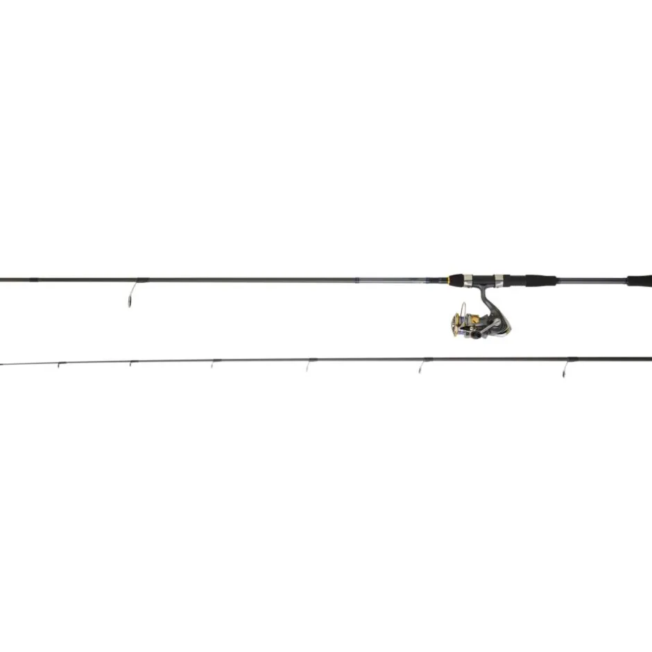 DAIWA ENSEMBLE SPINNING LAGUNA 2,70M 14/42G