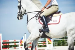 COMPOSITI ETRIERS ADULTE REFLEX