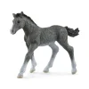 Enfant SCHLEICH FIGURINE POULAIN TRAKEHNEN