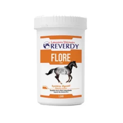 REVERDY FLORE INTESTINALE POUDRE