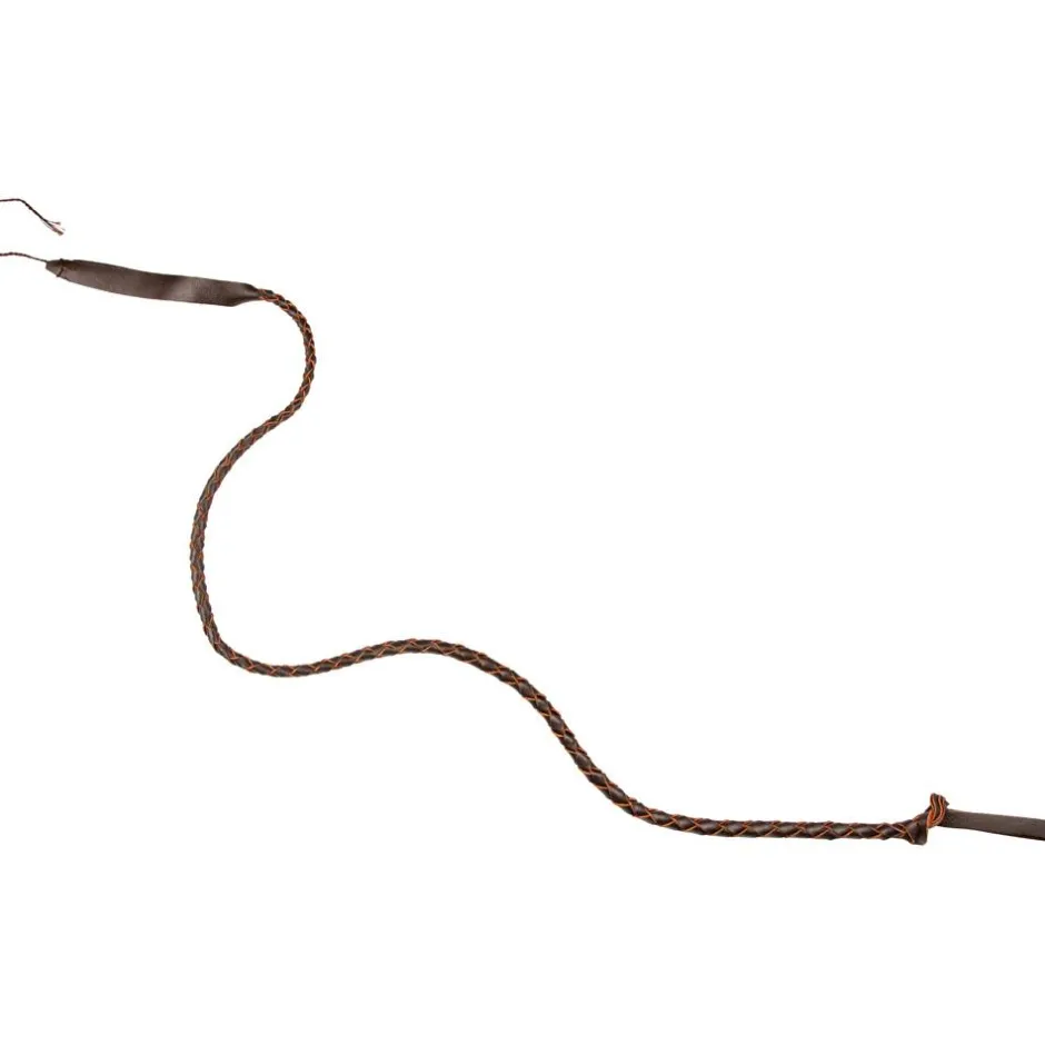 TERZEO VOS ANIMAUX FLOTTE TRESSE POUR FOUET VENERIE 1,2M