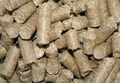KERBL FRIANDISE DELIZIA 1KG