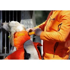 CANIHUNT GILET PROTECT PRO L'ORIGINAL